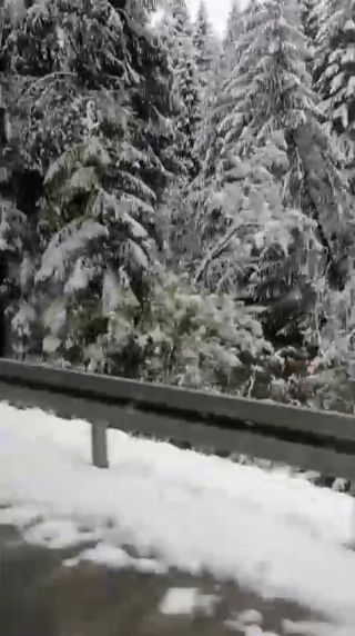 video.mp4