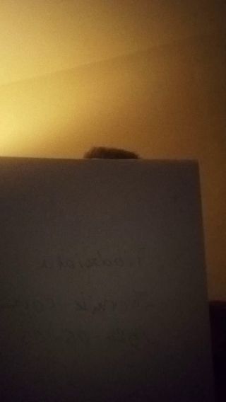 VID_20240503_032752.mp4