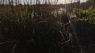 VID20240508190602.mp4