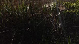 VID20240508190602.mp4