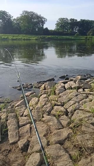 VID_20240510_073040.mp4