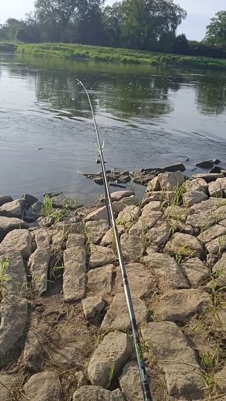 VID_20240510_073021.mp4