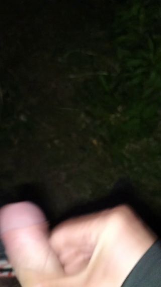 Cichy0492