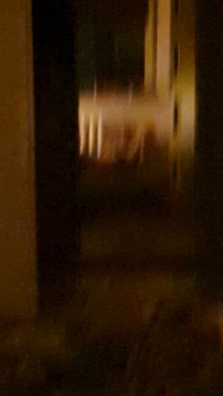 20240528_220921.mp4