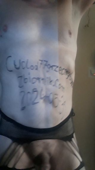 Cuckold77grzecznybardzo