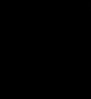 VID-20240613-WA0023.mp4