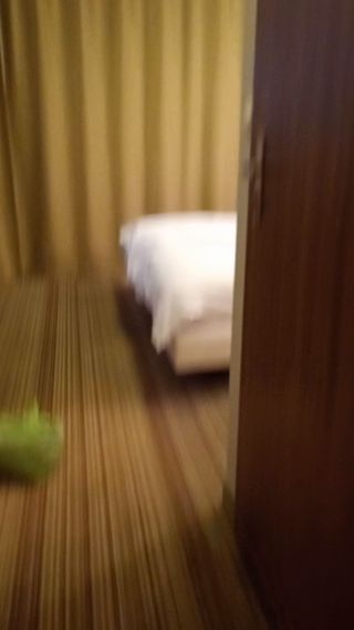 1000000334.mp4