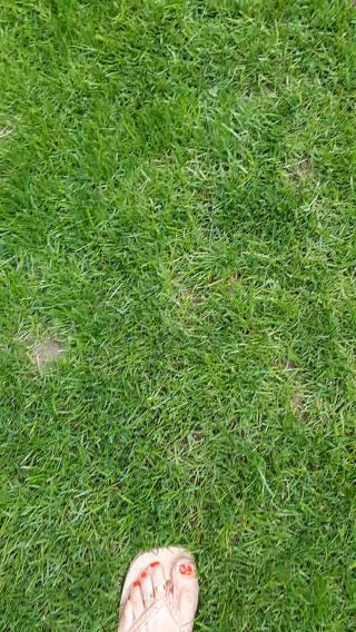 20240616_084831.mp4