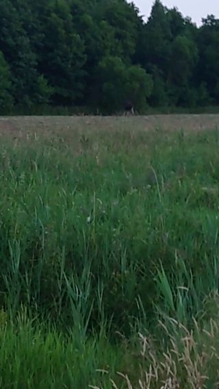 20240618_211620.mp4