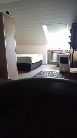 Tedi1712