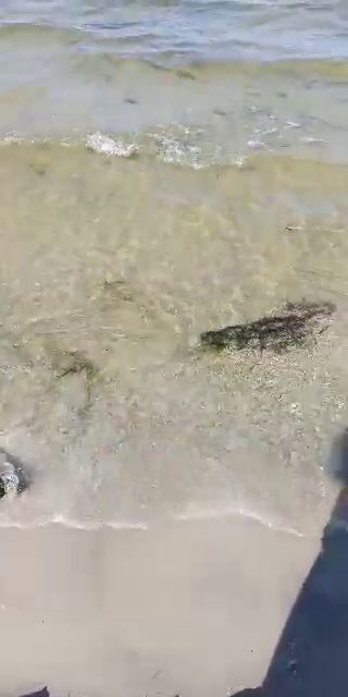Pierwsze promienie slońca zaliczone w tym roku;)