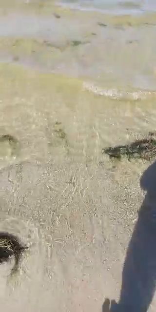 Pierwsze promienie slońca zaliczone w tym roku;)