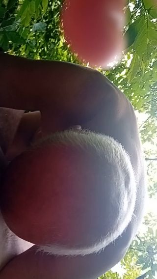 20240627_093243.mp4