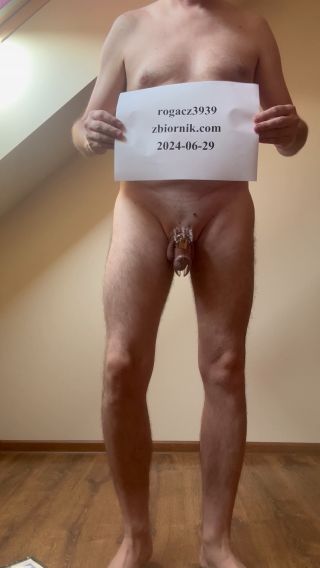rogacz3939