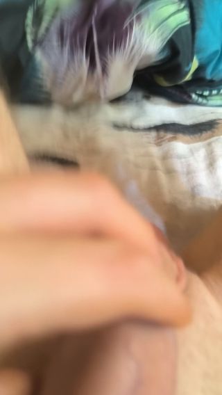 VID_20240630_125737.mp4