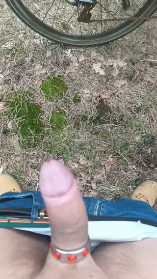 VID_20240331_151511_951.mp4