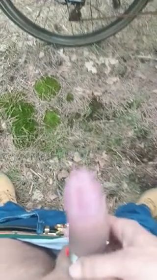 VID_20240331_151723_170.mp4