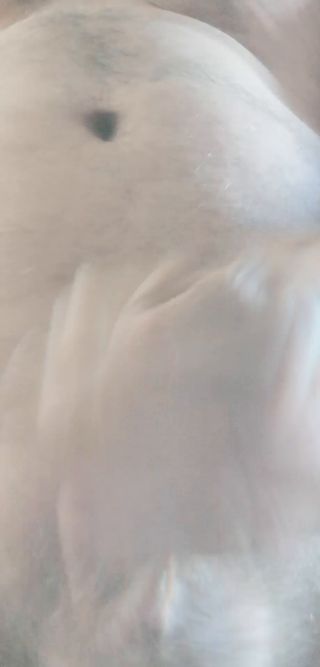 VID_20240711_071415.mp4