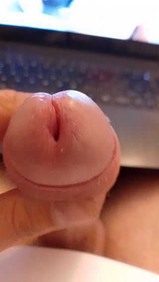 prosty506
