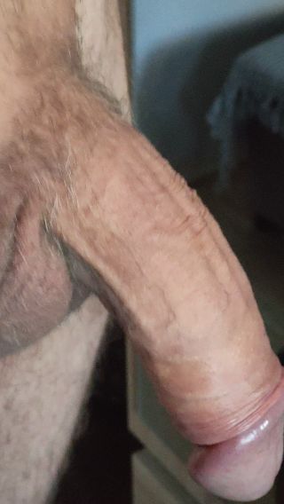 VID20240720175214.mp4