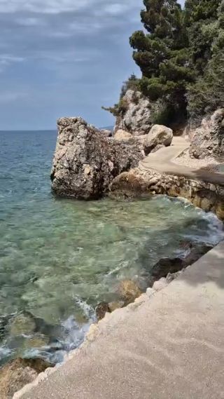 opalektakitam