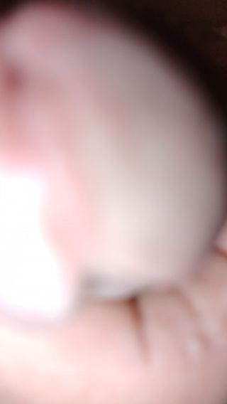 VID20240726000054.mp4