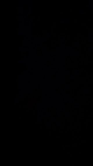 1000003039.mp4