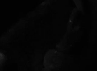 ips-2EFFA104-D306-40A1-8389-A863F549CACD.mov