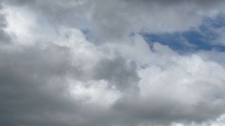 IMG_2109.MOV