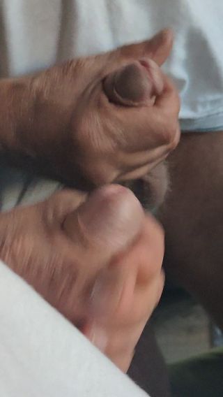 VID20240801171358.mp4