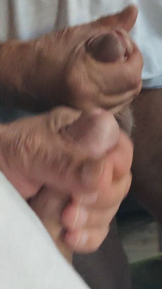 VID20240801171358.mp4