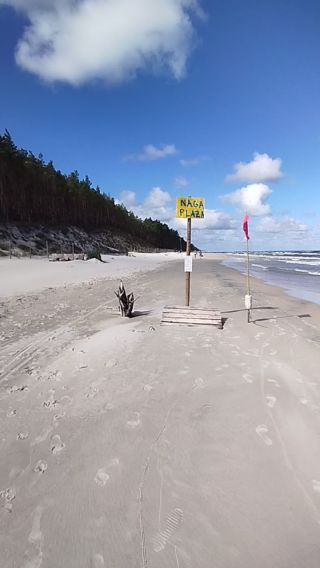 VID_20240812_101829.mp4