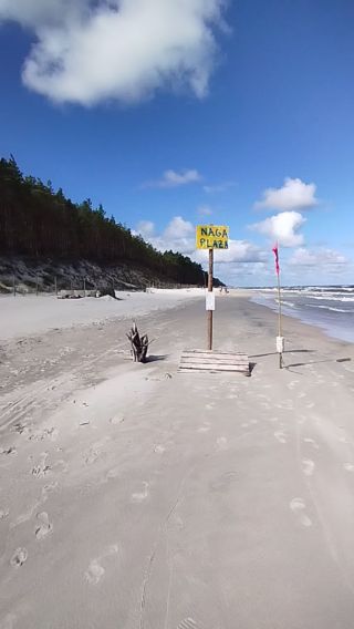 VID_20240812_101829.mp4