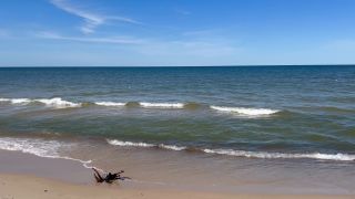 IMG_4004.mov