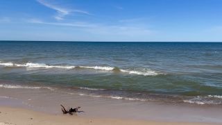 IMG_4004.mov