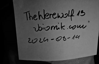 TheWerewolf13