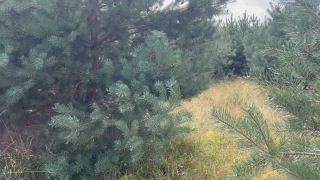 IMG_7294.mov