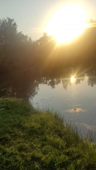 VID_20240816_063531.mp4