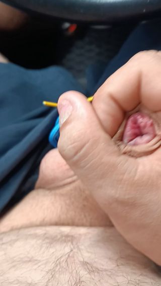 VID_20240815_114545.mp4