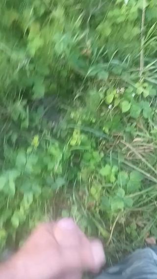 VID_20240817_190502_461.mp4