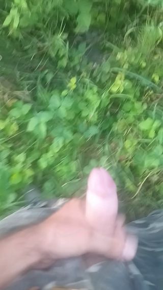 VID_20240817_190502_461.mp4