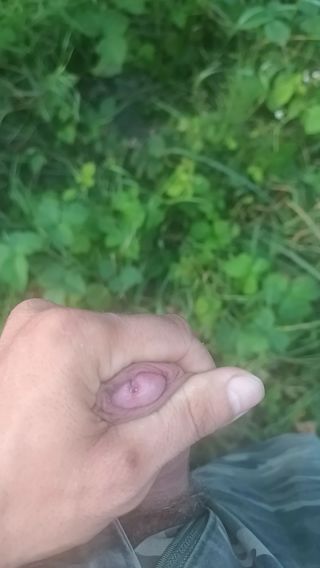 VID_20240817_190618_727.mp4