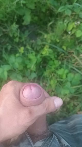 VID_20240817_190618_727.mp4