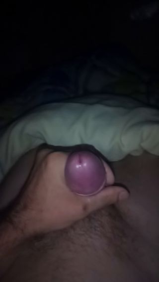VID_20240820_001204_784.mp4