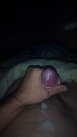 VID_20240820_001204_784.mp4