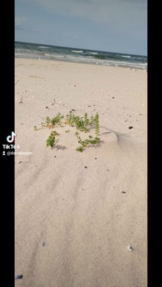 2024-08-25-234710021.mp4