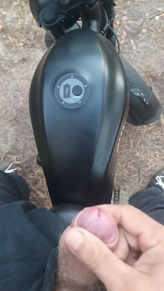 VID_20240901_181951_282.mp4