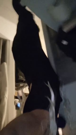 chpaulasissy