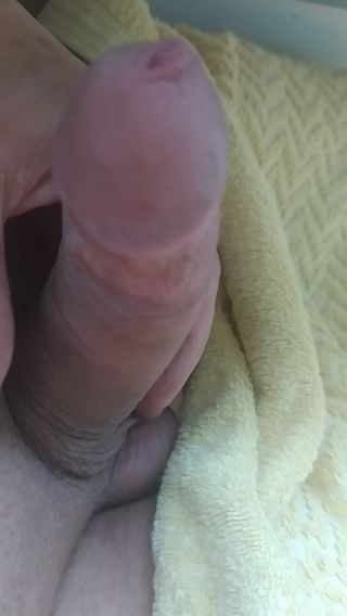 VID_20240902_174740.mp4