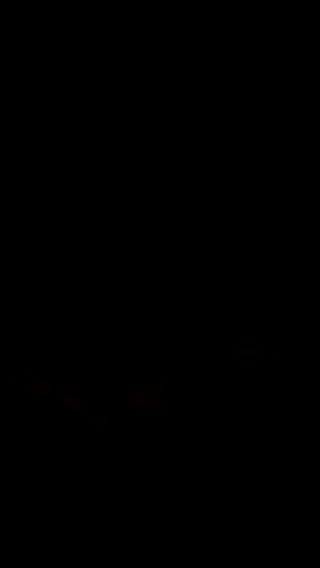 VID_20240903_233844.3gp